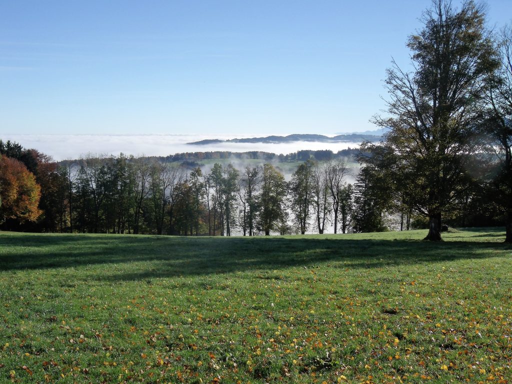 dusche zimmer  hagel 018